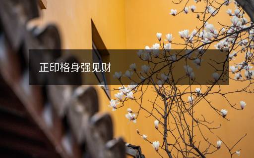 正印格身强见财