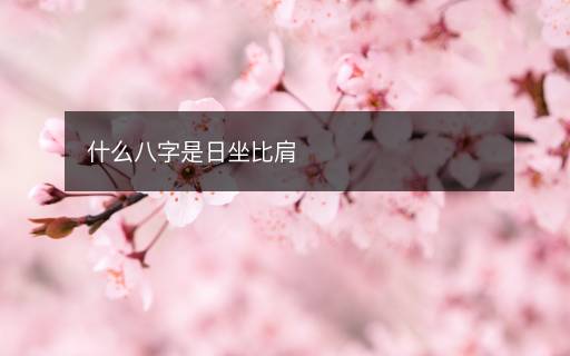 什么八字是日坐比肩