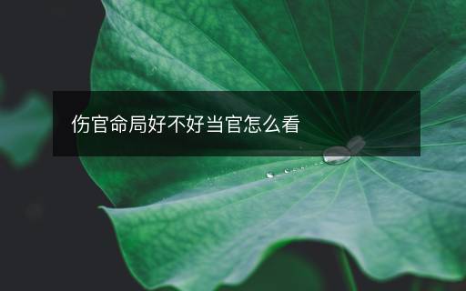 伤官命局好不好当官怎么看