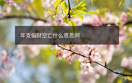 年支偏财空亡什么意思啊