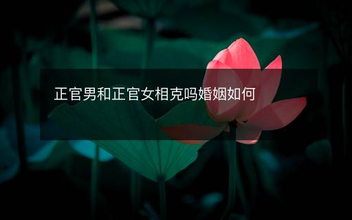 正官男和正官女相克吗婚姻如何