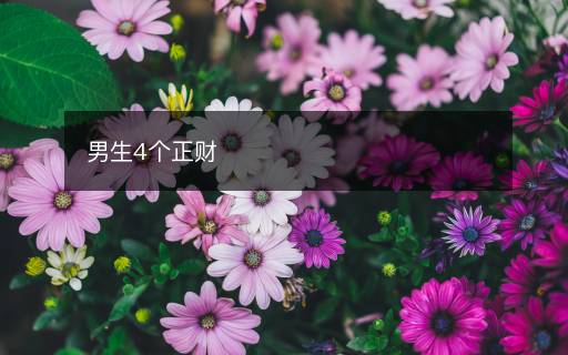 男生4个正财