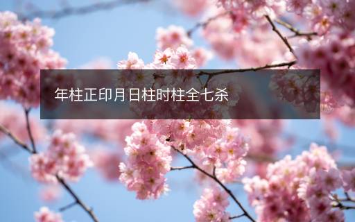 年柱正印月日柱时柱全七杀 年柱正印月日柱时柱全七杀