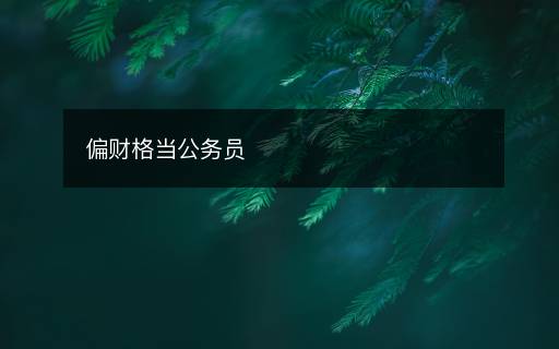 偏财格当公务员