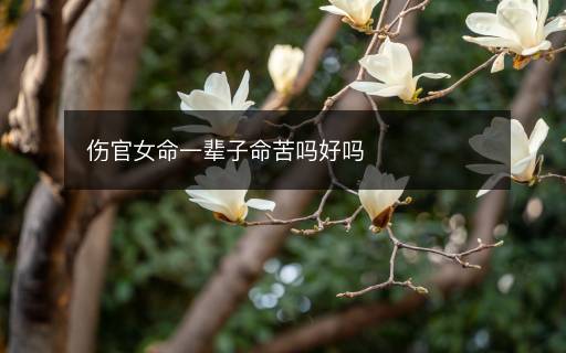 伤官女命一辈子命苦吗好吗