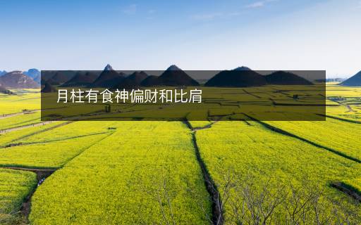 月柱有食神偏财和比肩 月柱有食神偏财和比肩