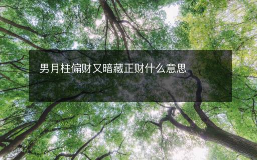 男月柱偏财又暗藏正财什么意思