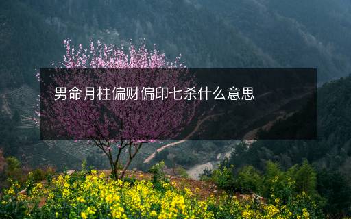 男命月柱偏财偏印七杀什么意思