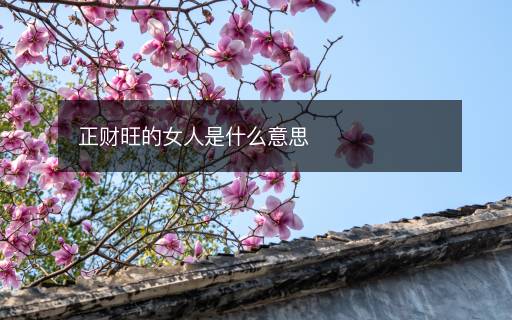 正财旺的女人是什么意思 正财旺的女人是什么意思