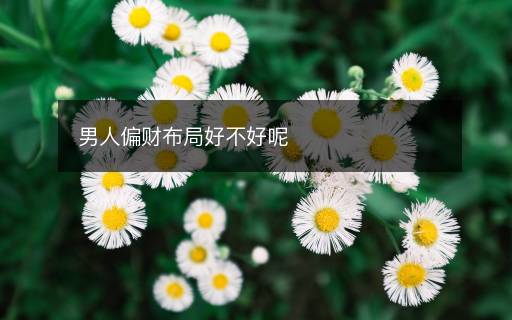 男人偏财布局好不好呢