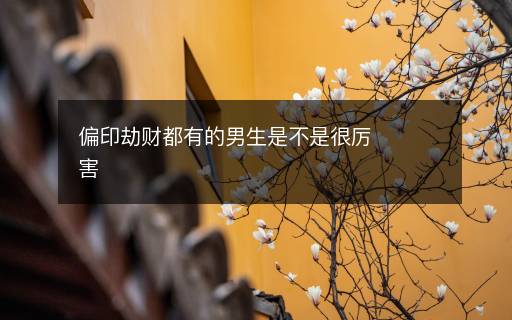 偏印劫财都有的男生是不是很厉害