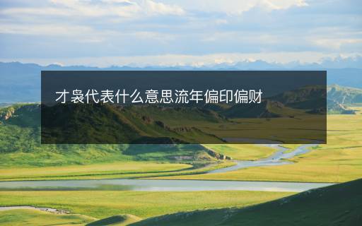 才袅代表什么意思流年偏印偏财 才袅代表什么意思流年偏印偏财