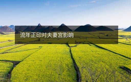 流年正印对夫妻宫影响