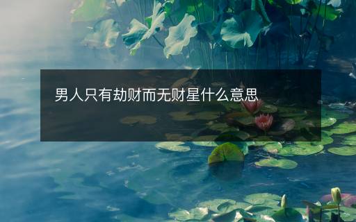 男人只有劫财而无财星什么意思