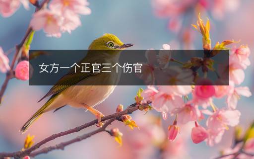 女方一个正官三个伤官