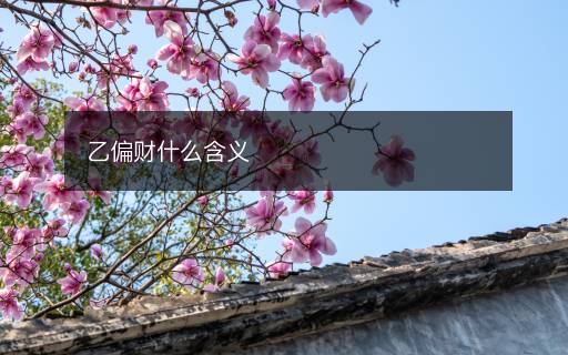 乙偏财什么含义