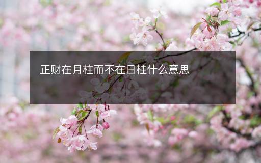 正财在月柱而不在日柱什么意思