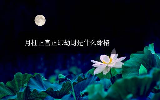 月柱正官正印劫财是什么命格