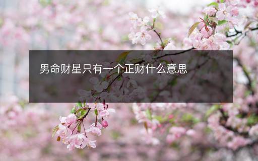 男命财星只有一个正财什么意思