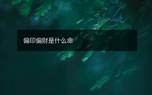 偏印偏财是什么命