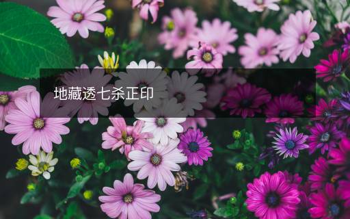 地藏透七杀正印