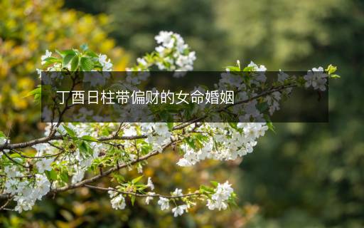 丁酉日柱带偏财的女命婚姻