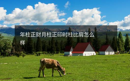 年柱正财月柱正印时柱比肩怎么样