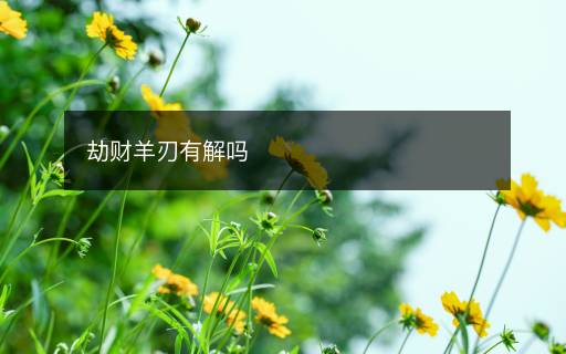 劫财羊刃有解吗