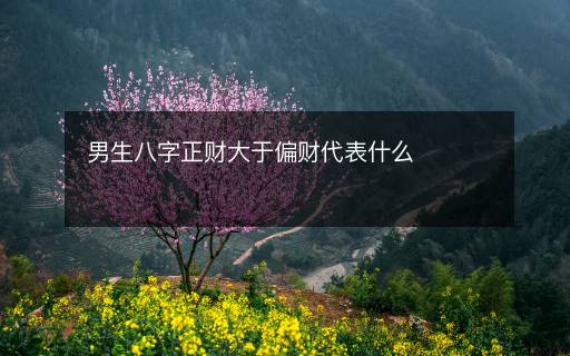 男生八字正财大于偏财代表什么