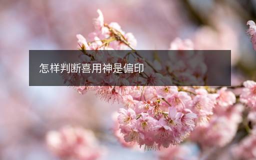 怎样判断喜用神是偏印