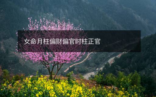 女命月柱偏财偏官时柱正官