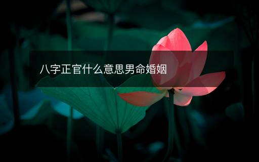 八字正官什么意思男命婚姻
