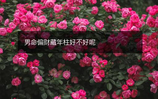 男命偏财藏年柱好不好呢