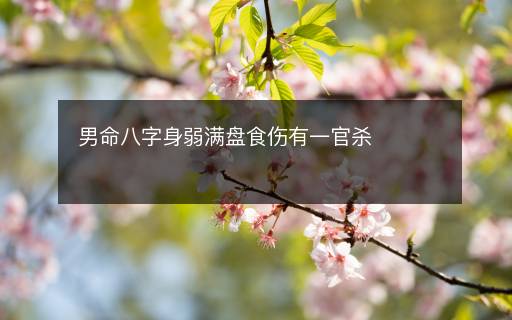 男命八字身弱满盘食伤有一官杀