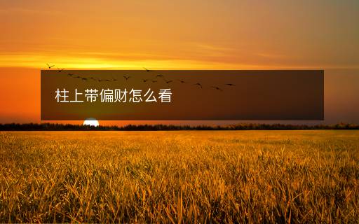 柱上带偏财怎么看