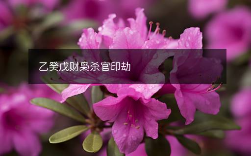 乙癸戊财枭杀官印劫