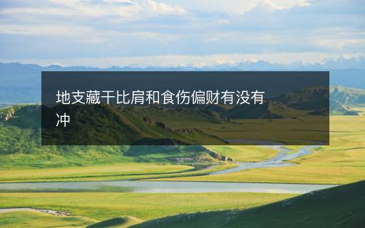 地支藏干比肩和食伤偏财有没有冲