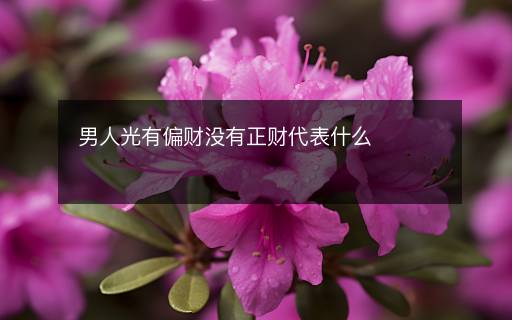 男人光有偏财没有正财代表什么