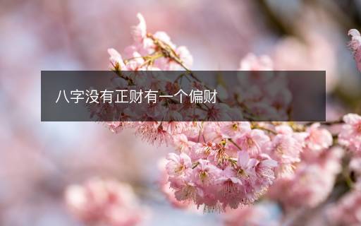 八字没有正财有一个偏财
