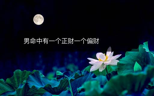 男命中有一个正财一个偏财