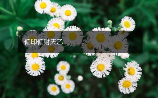 偏印偏财天乙