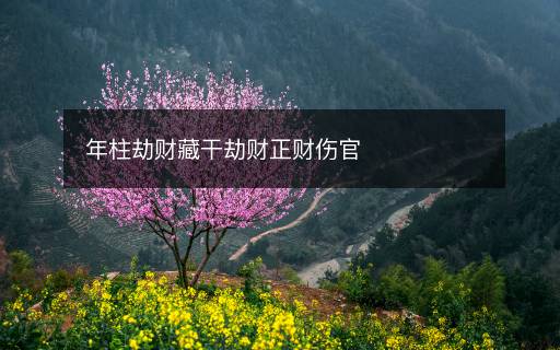 年柱劫财藏干劫财正财伤官