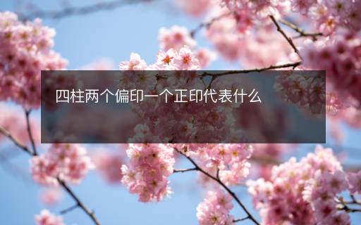 四柱两个偏印一个正印代表什么