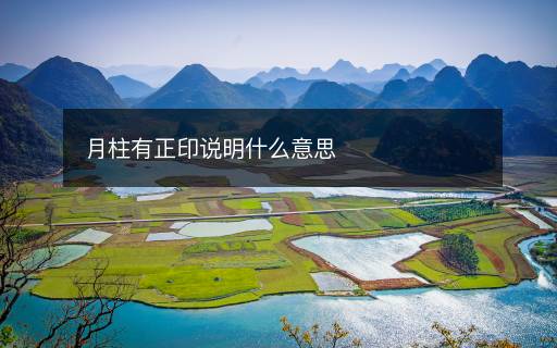 月柱有正印说明什么意思