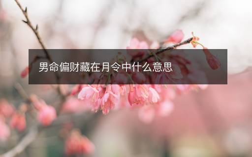 男命偏财藏在月令中什么意思