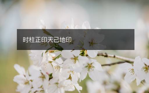 时柱正印天己地印