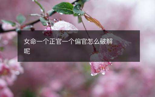 女命一个正官一个偏官怎么破解呢