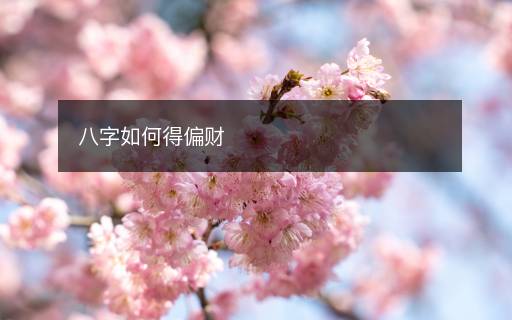 八字如何得偏财 八字如何得偏财