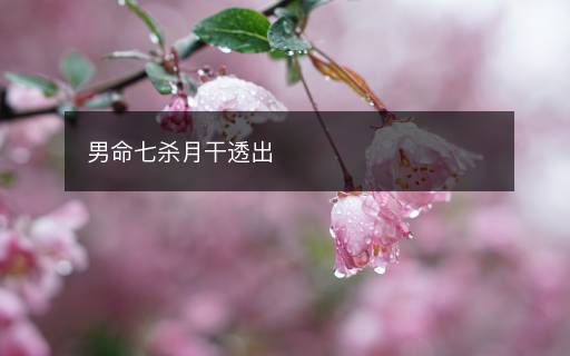 男命七杀月干透出