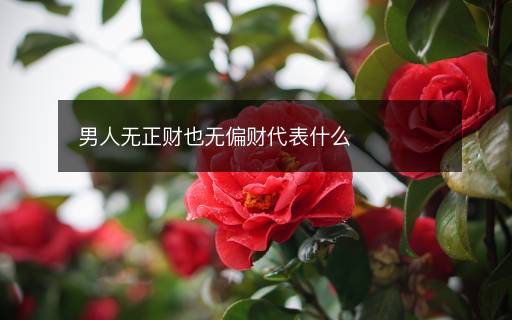 男人无正财也无偏财代表什么